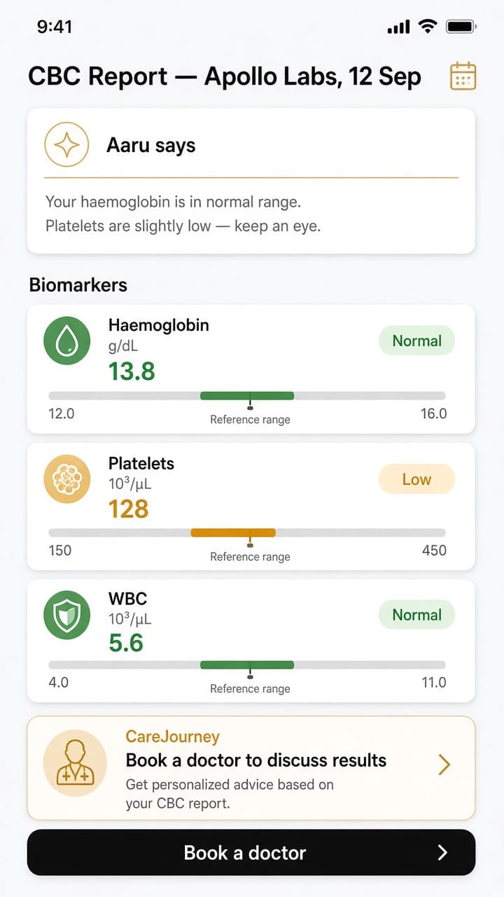 Report summary in plain language