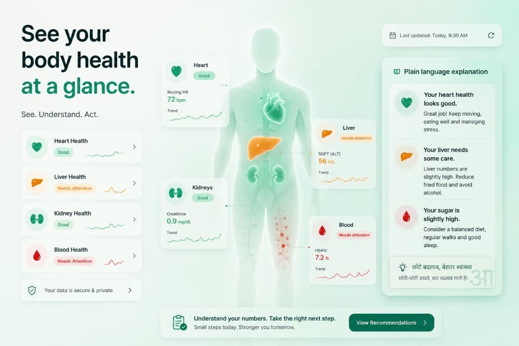 See your body health at a glance